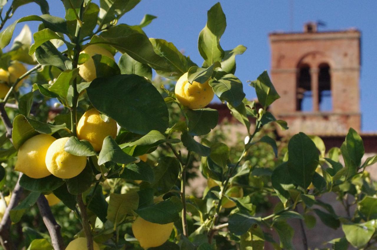 Fattoria Monastero Sant'Anna In Camprena Villa Pienza Eksteriør billede