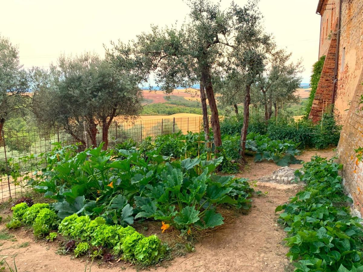 Fattoria Monastero Sant'Anna In Camprena Villa Pienza Eksteriør billede